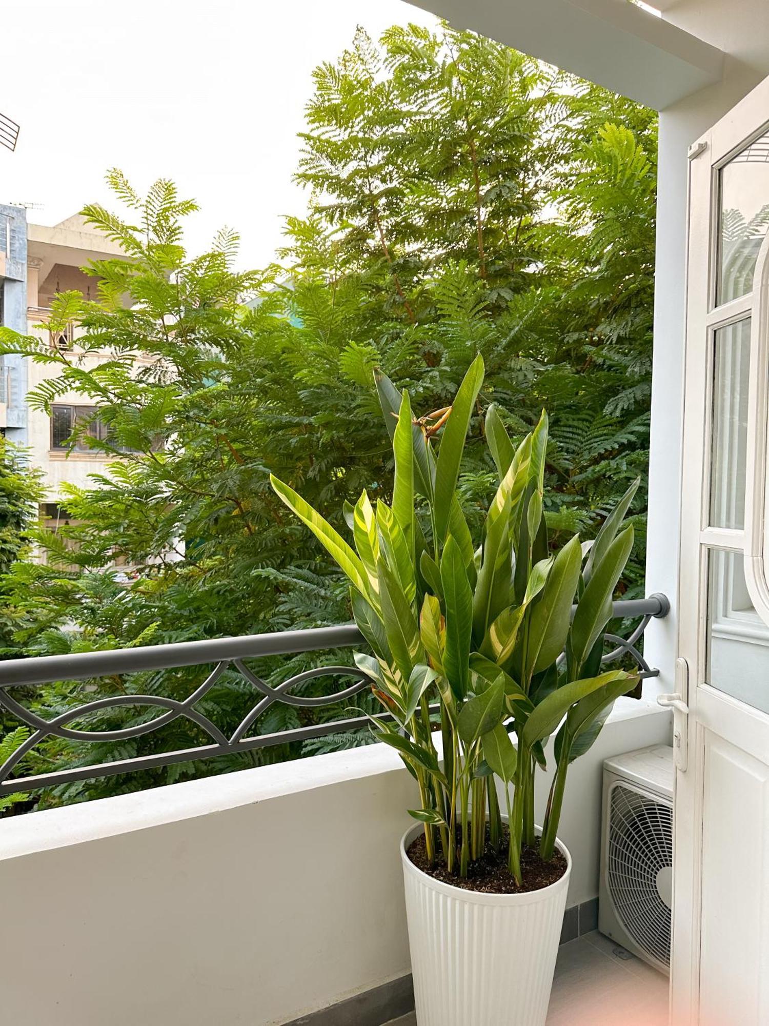 Calmette Home - Best Location District 1 - 500M Ben Thanh Market Ho-Chi-Minh-Stadt Exterior foto